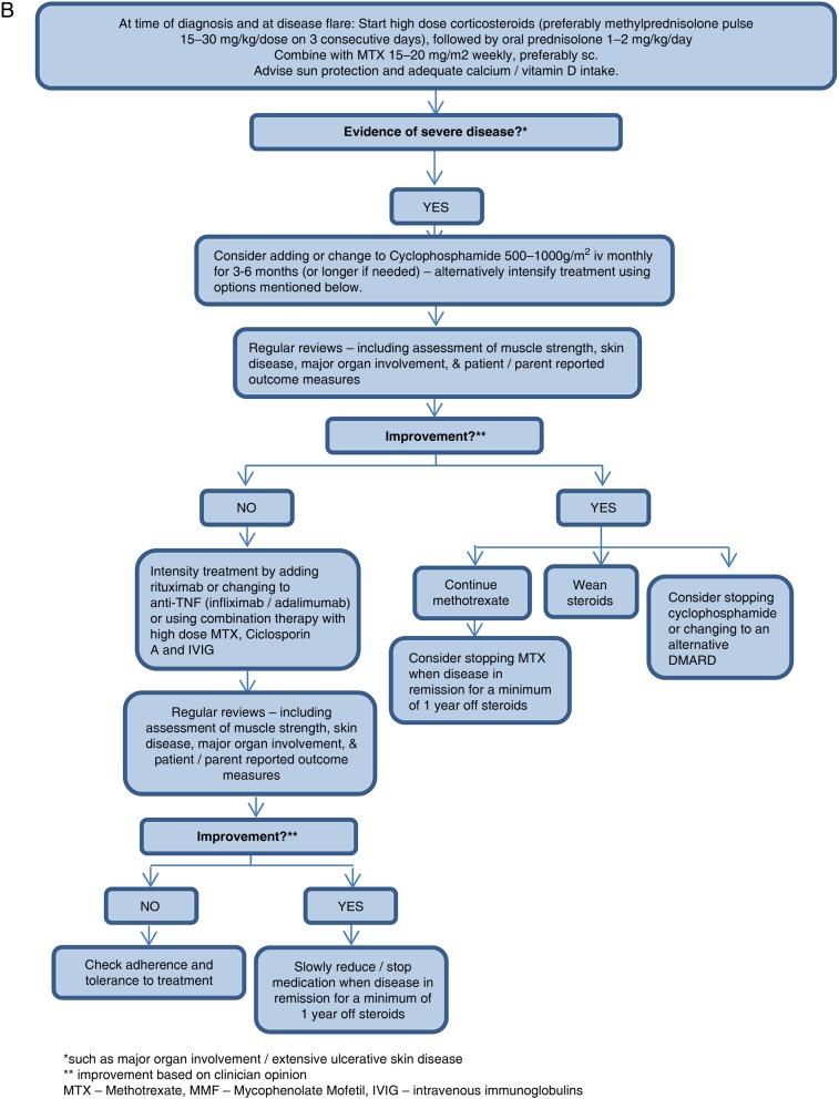 Figure 1B