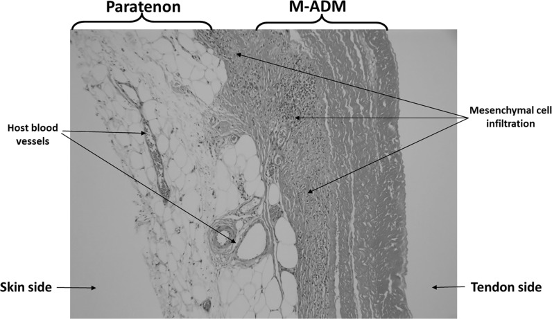 Fig. 2