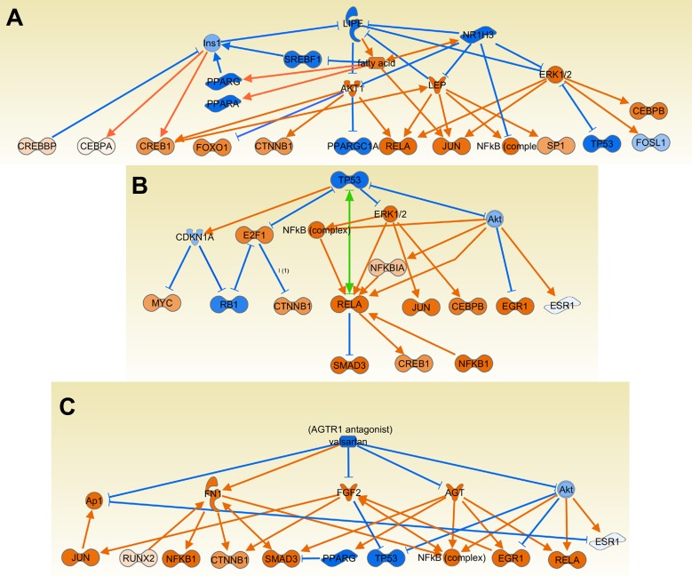 Fig. 9.