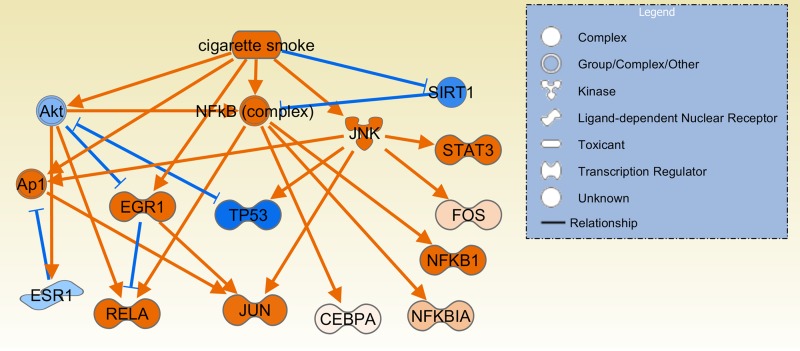 Fig. 8.