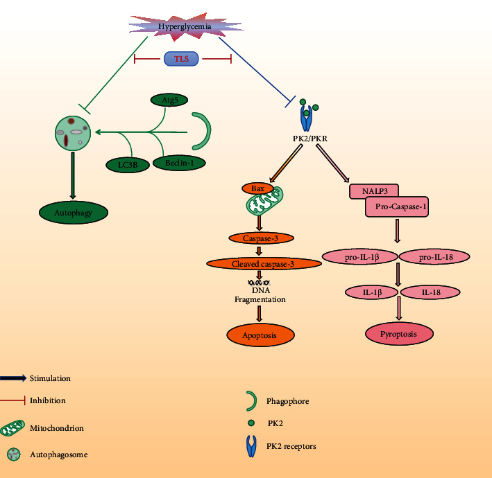 Figure 10