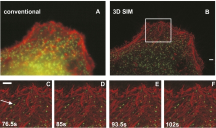 Fig. 4.