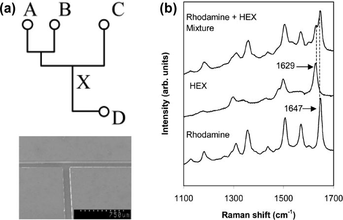 Figure 24