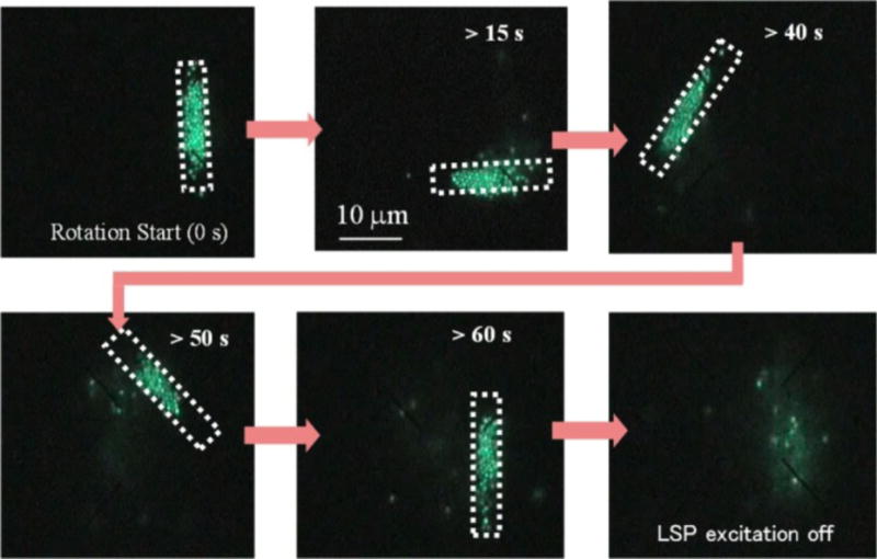 Figure 10