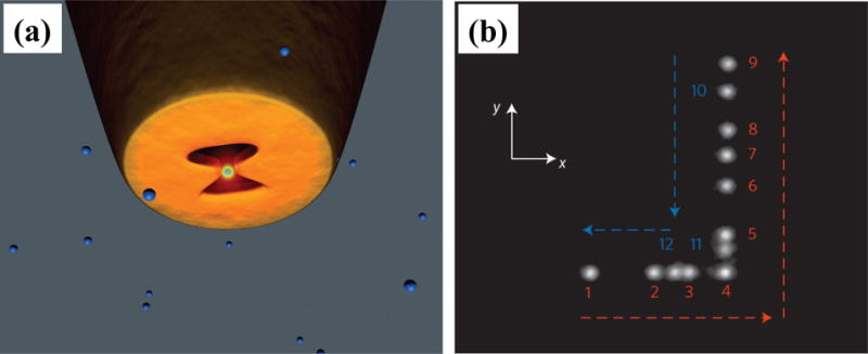 Figure 9