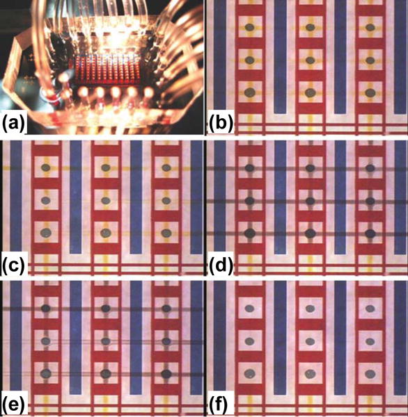 Figure 19