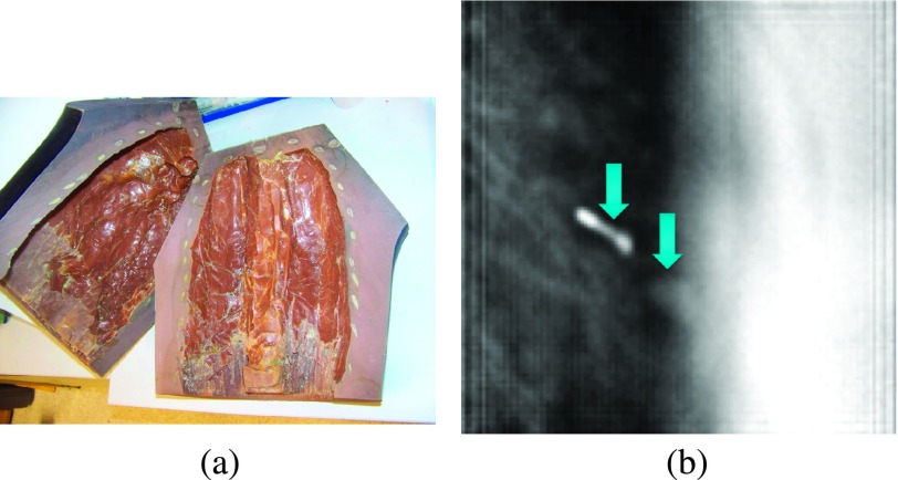 FIG. 8.