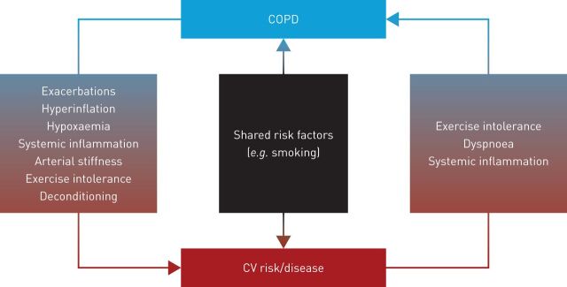 FIGURE 3