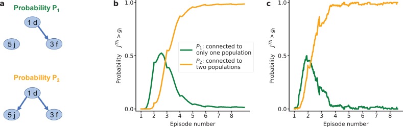 Figure 3—figure supplement 1.