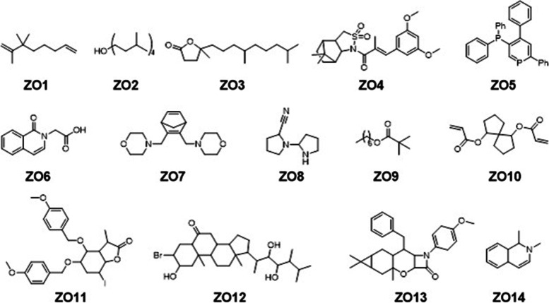 Fig. 2