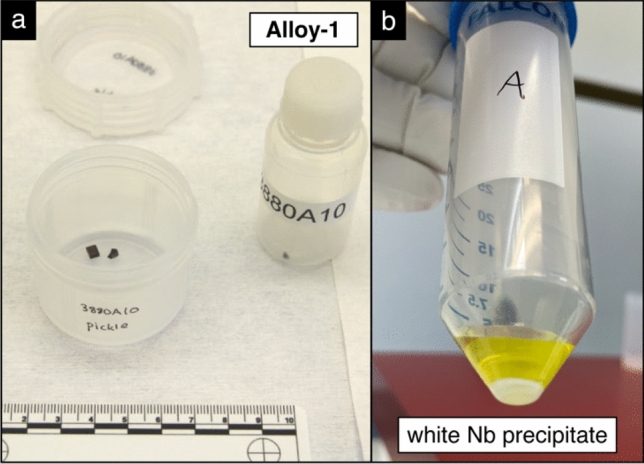 Fig. 10