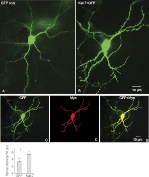 Fig. 4.