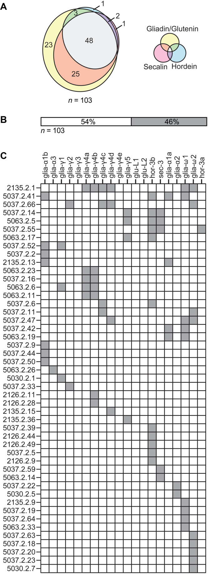 Fig. 1.