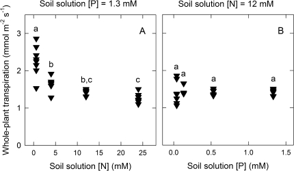 Fig. 8.