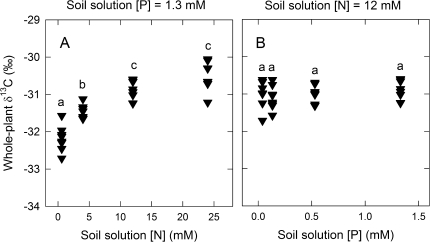 Fig. 10.