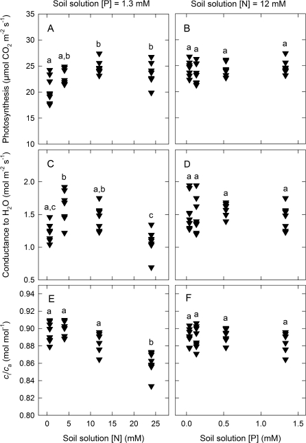 Fig. 9.