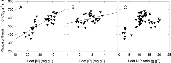 Fig. 11.