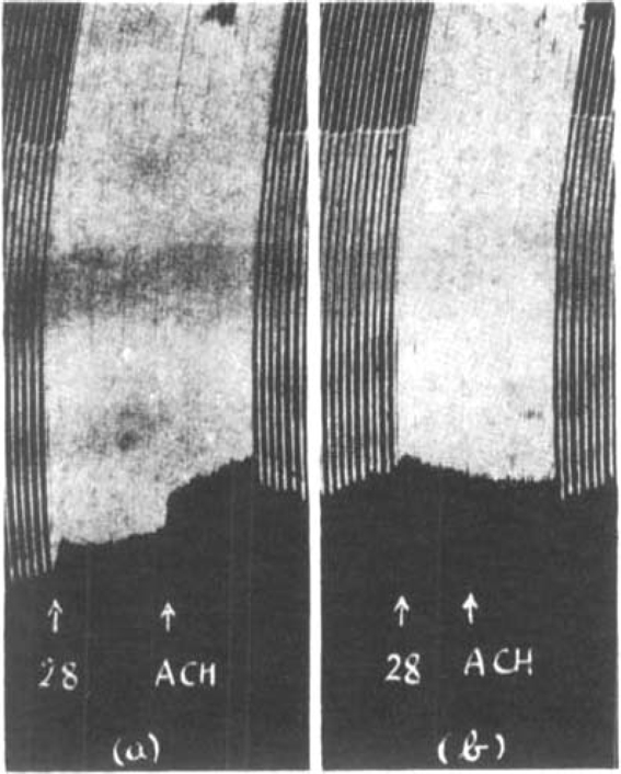 Fig. 15