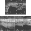 Fig. 8