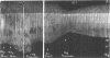 Fig. 14