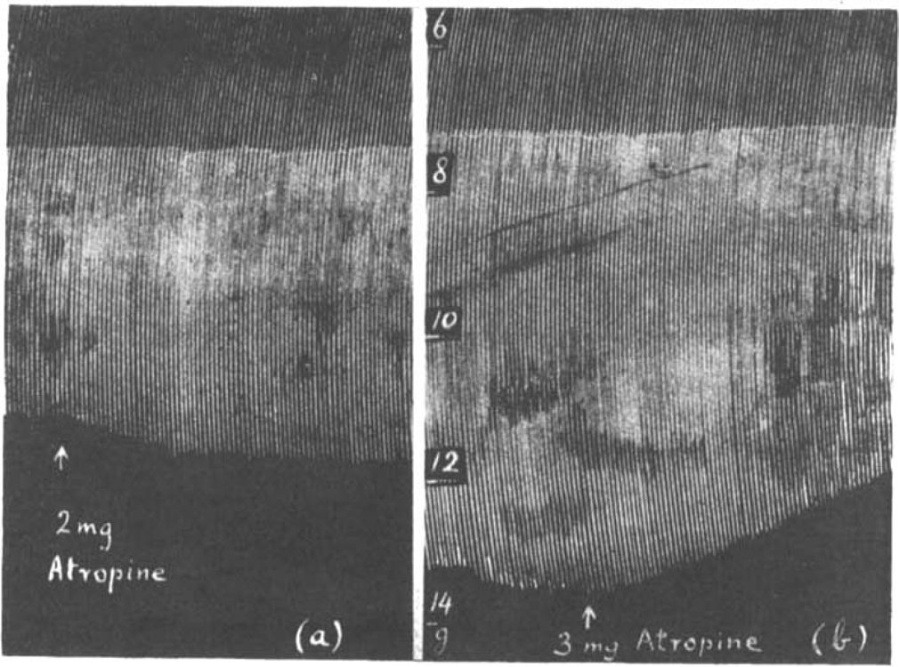 Fig. 10