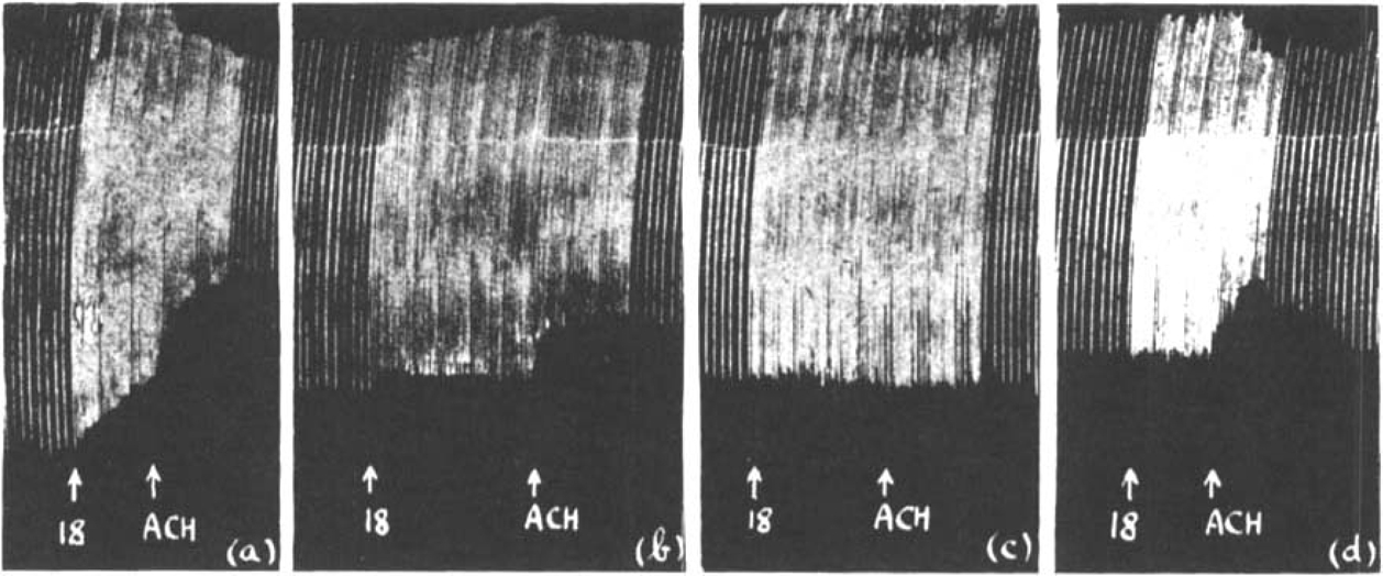 Fig. 16