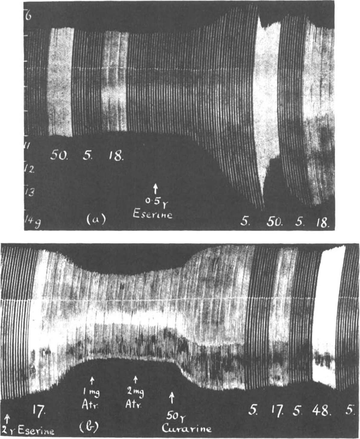 Fig. 12