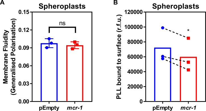 Figure 2—figure supplement 1.