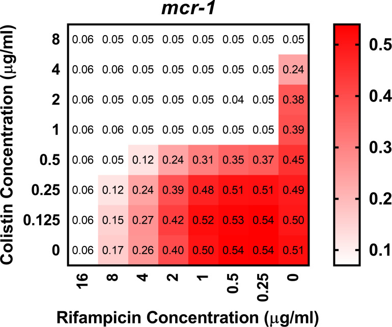 Figure 1—figure supplement 6.