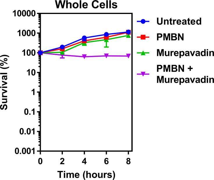 Figure 4—figure supplement 6.