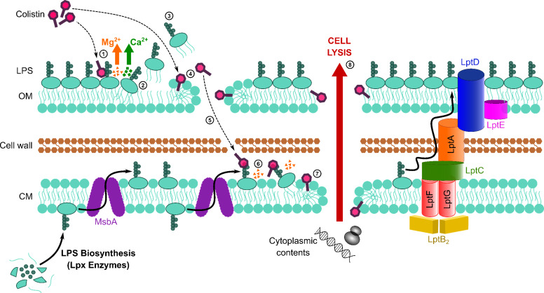 Figure 6.