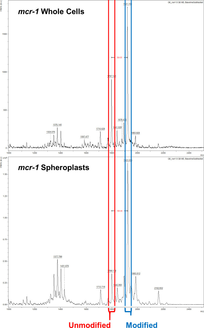 Figure 1—figure supplement 5.