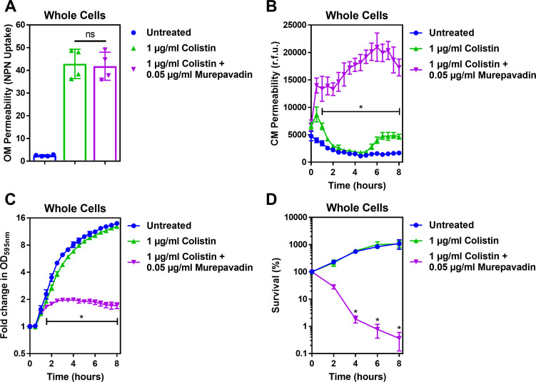 Figure 5—figure supplement 1.