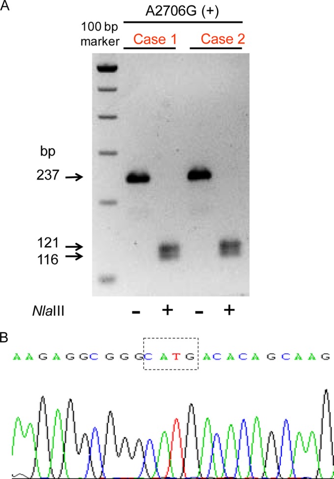 FIG 1