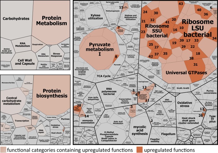 FIG 3 