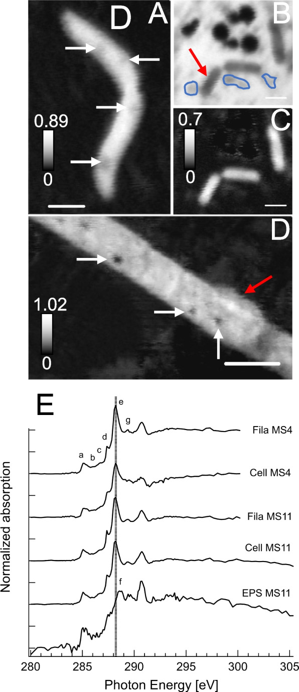 Fig. 4