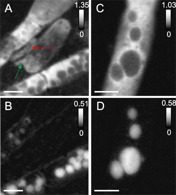 Fig. 3