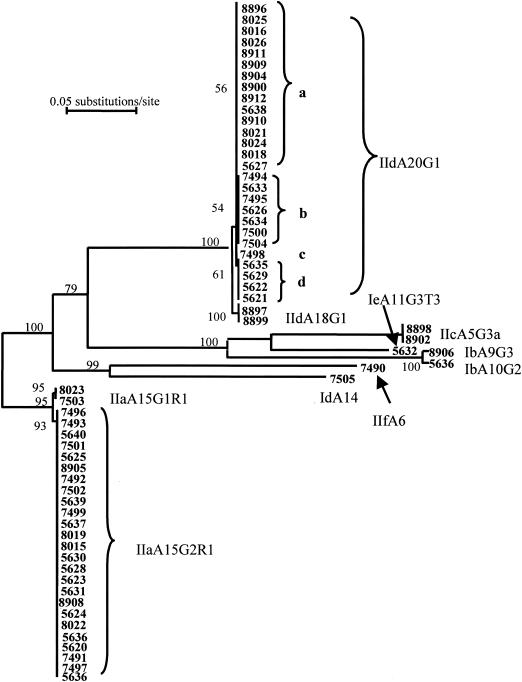 FIG. 2.