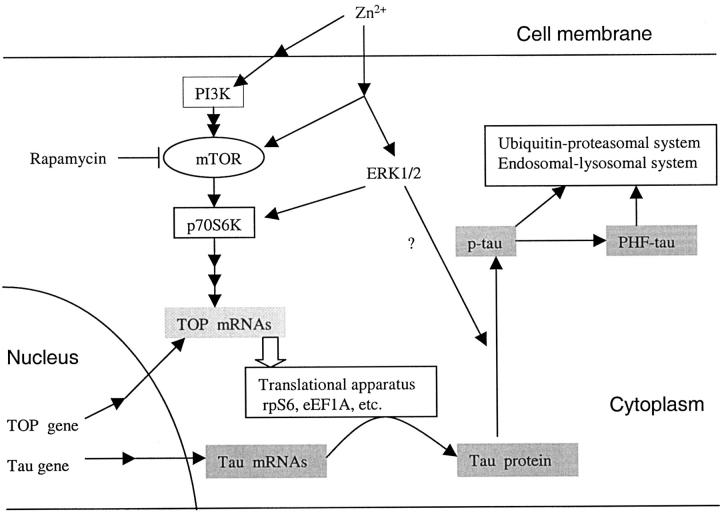 Figure 10.