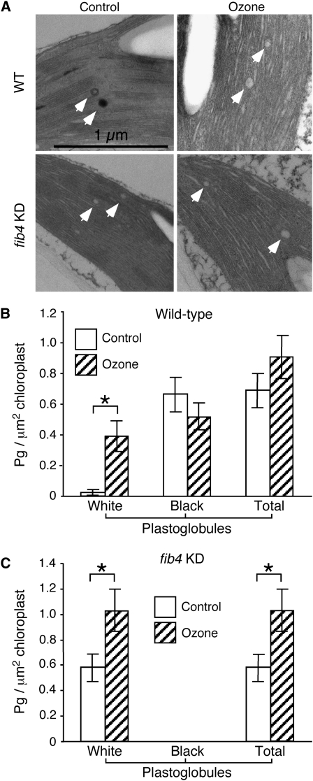 Figure 7.