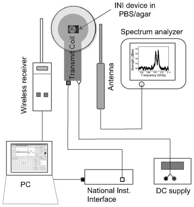 Fig. 2