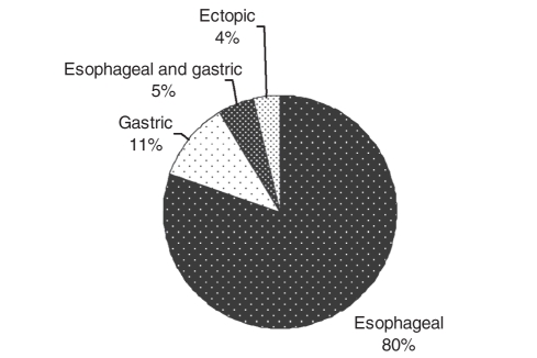 Figure 1)