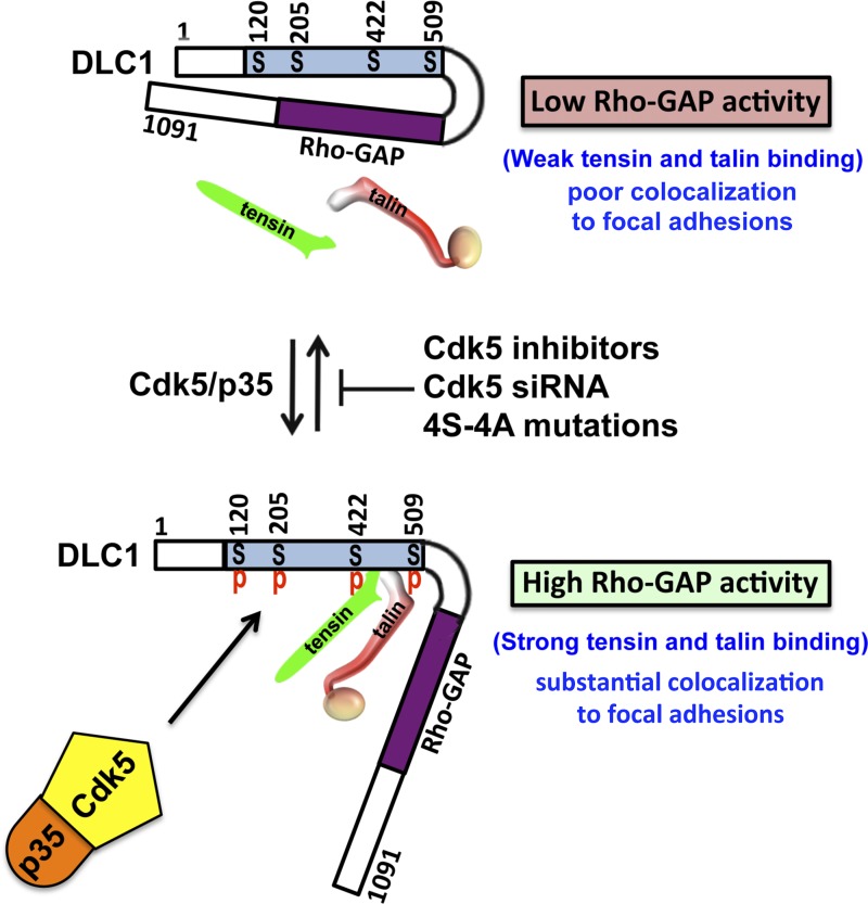 Figure 10.