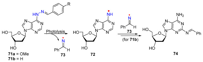 Figure 13