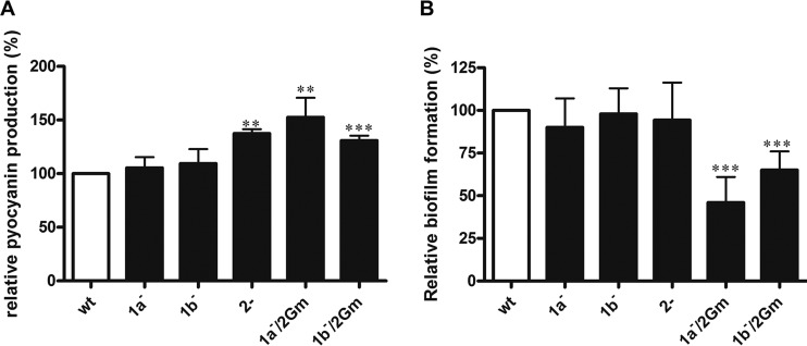 FIG 6