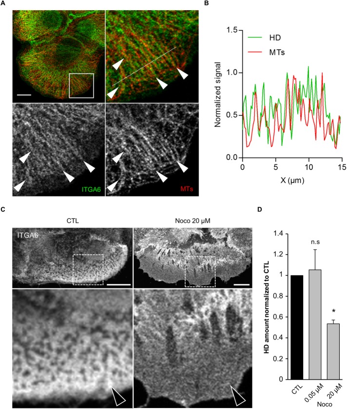 FIGURE 6: