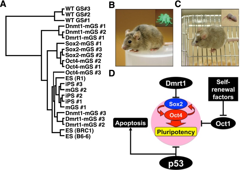 Figure 6.