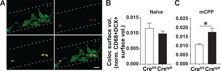 Figure 6.