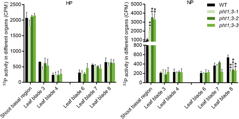 Figure 6.