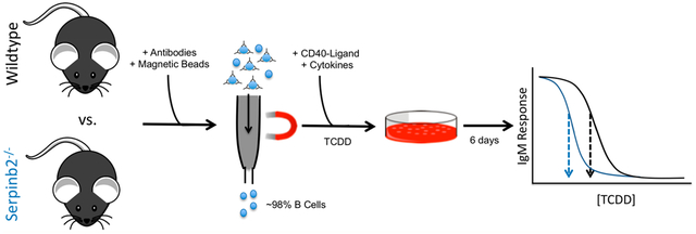 graphic file with name nihms-1587450-f0001.jpg